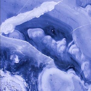 Meet your Posher, Maddi